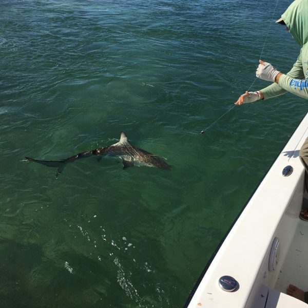 Winter fishing in Miami-6