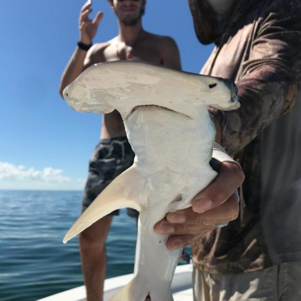 Winter fishing in Miami-6