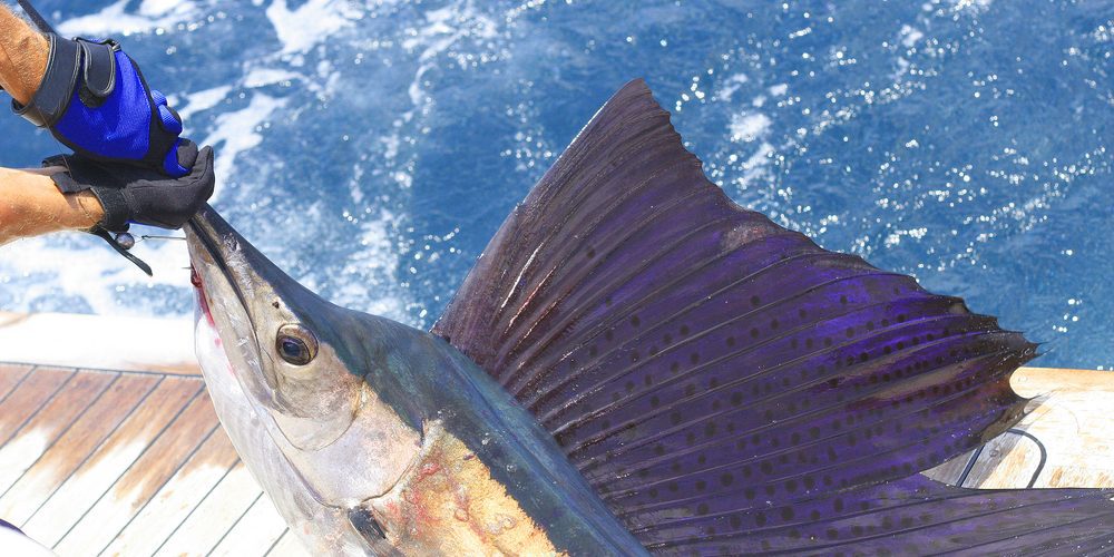 fishing-in-miami
