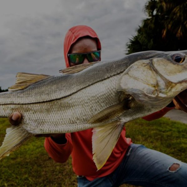 Slider-snook-fish