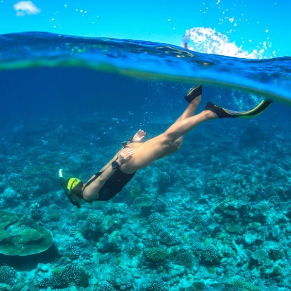 snorkeling-vertical