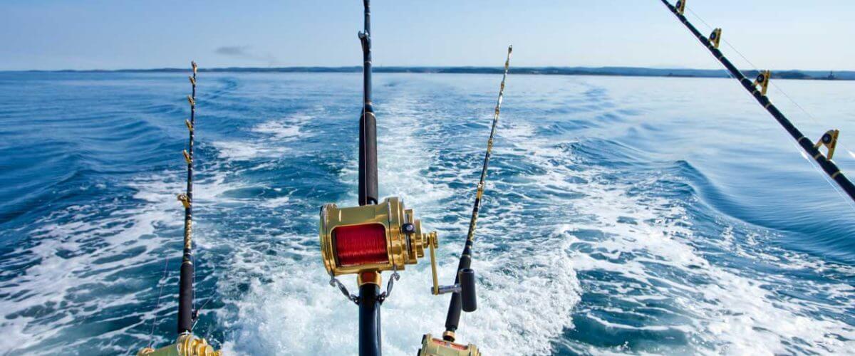 Useful-Fishing