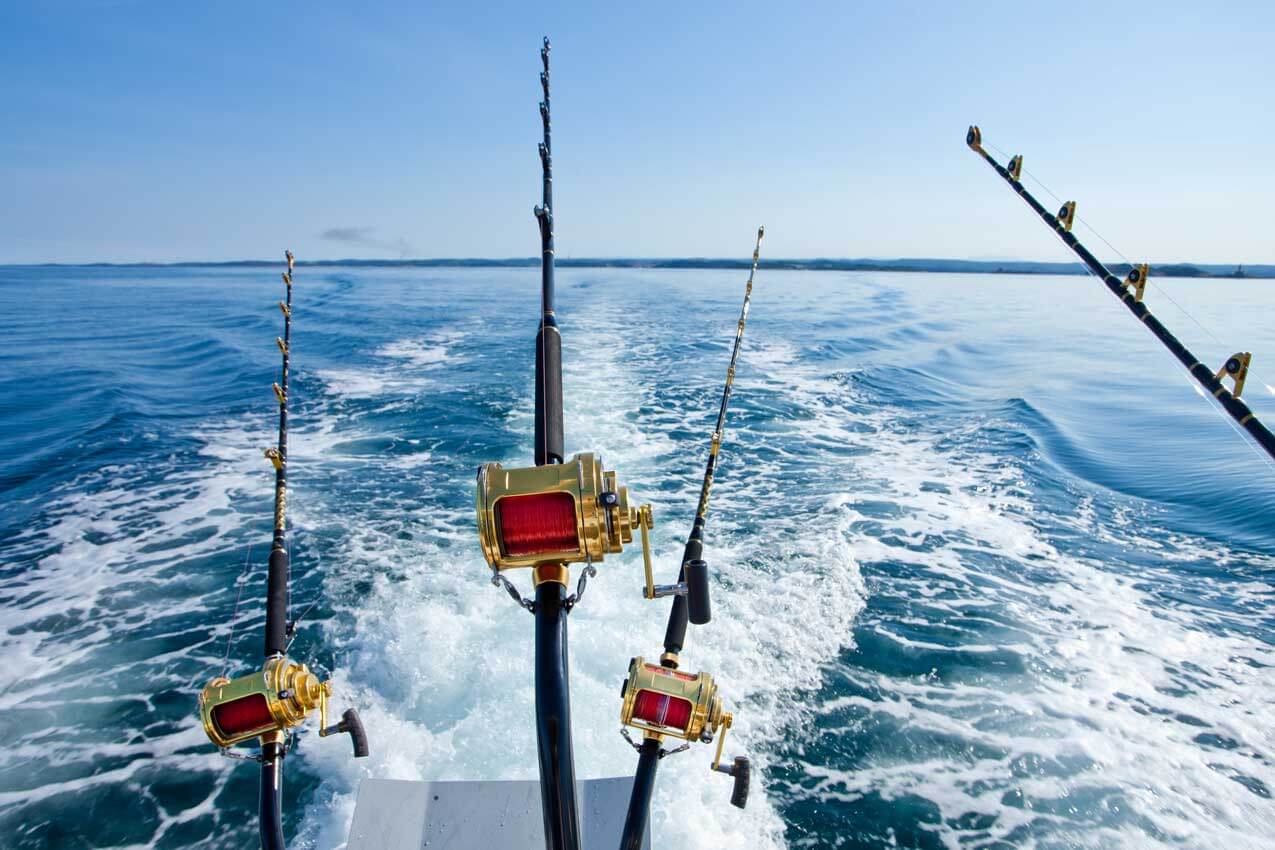 Useful-Fishing