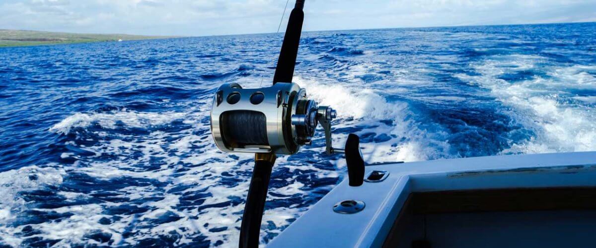 offshore fishing for mahi mahi in miami