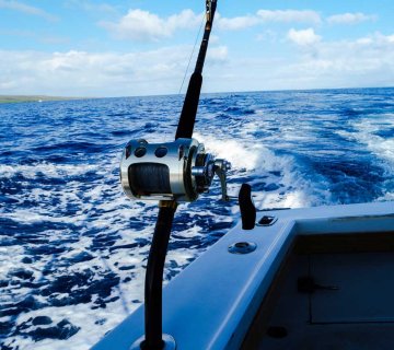 offshore fishing for mahi mahi in miami