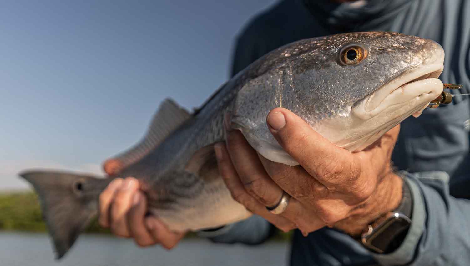 close up of fish caught by angler in Miami, FL