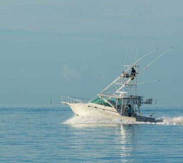 Fishermen driving a power boat in Miami, Florida