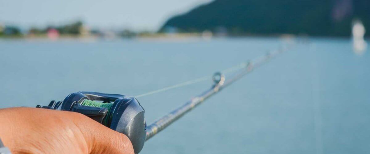 Summer Inshore Fishing in Miami