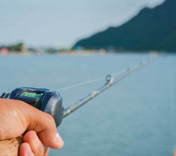 Summer Inshore Fishing in Miami