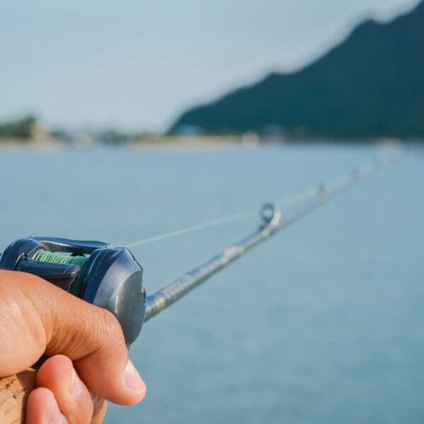 Summer Inshore Fishing in Miami