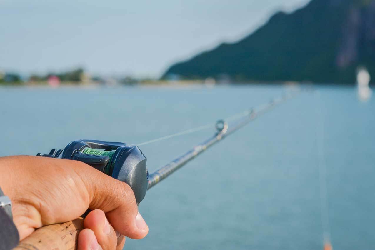 Summer Inshore Fishing in Miami