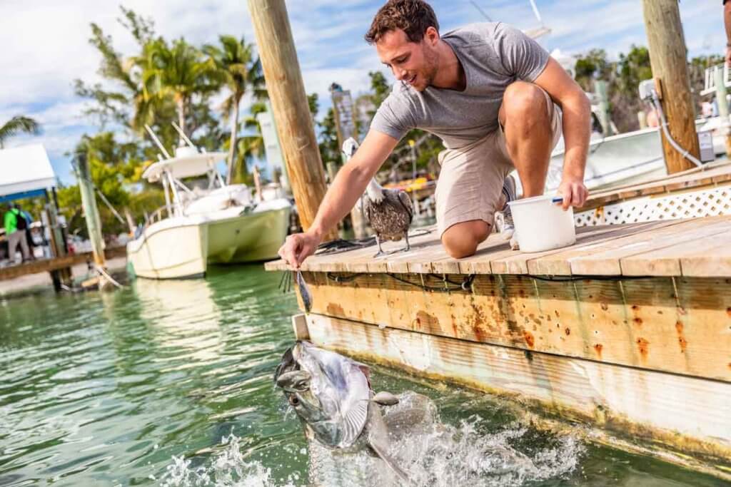 Techniques for Miami Anglers